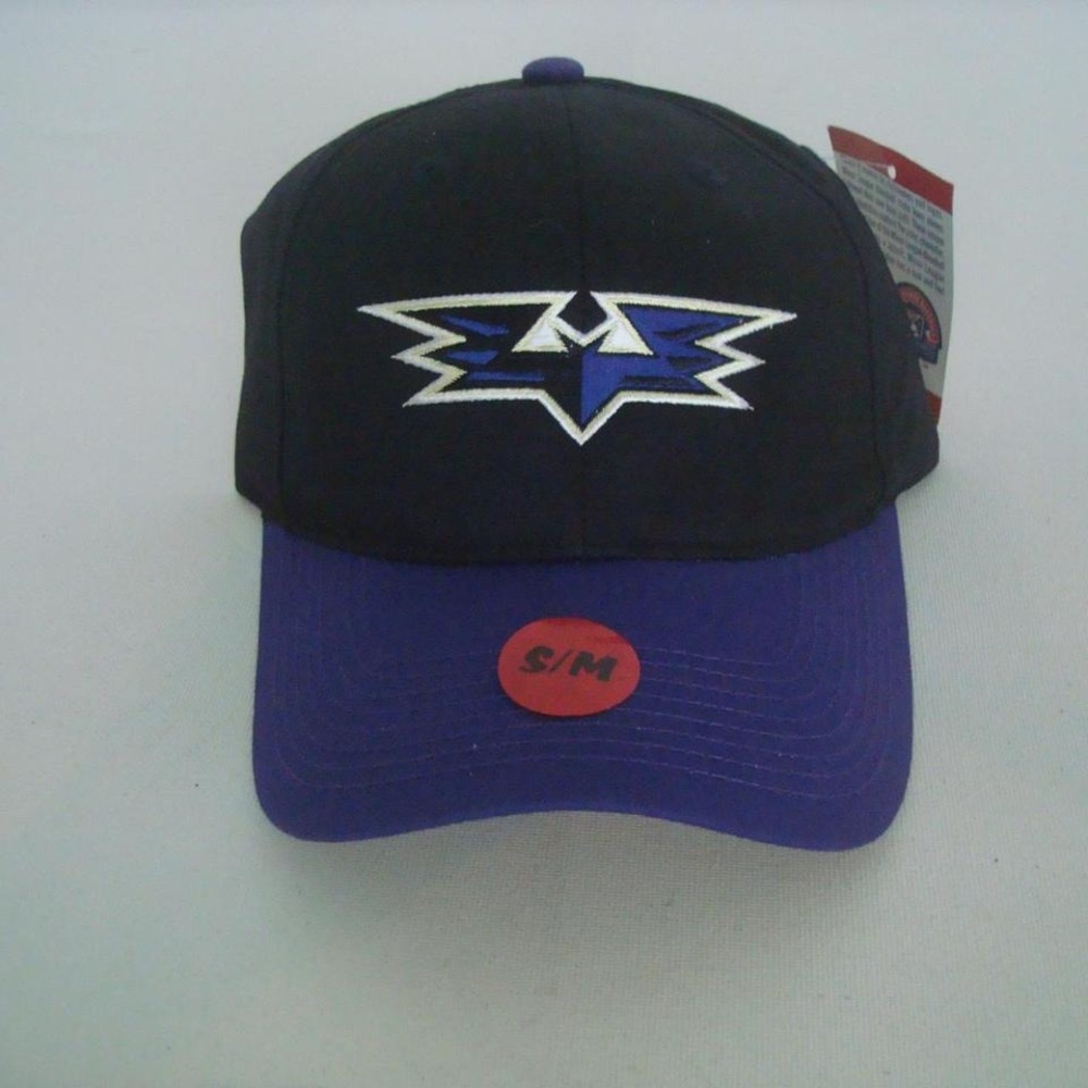MINOR LEAGUE BASEBALL HAT CAP VINTAGE Y2K 00S Y1